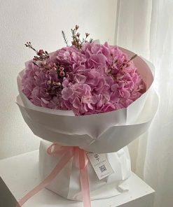 Hồng Mộng