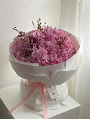 Hồng Mộng