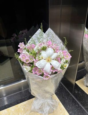 Sương Sớm Ban Mai