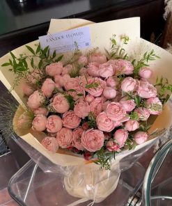 Hồng Diện Kiêu Sa