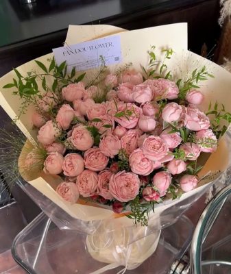 Hồng Diện Kiêu Sa